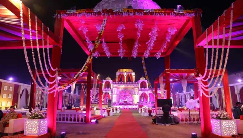 24 Carat Suryadev Farms - Image 1