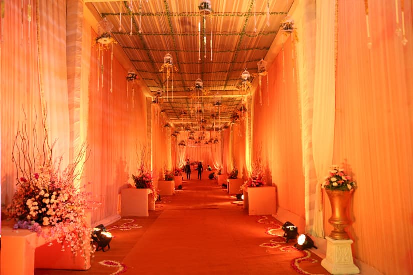 Celebration Gardens - Image 3
