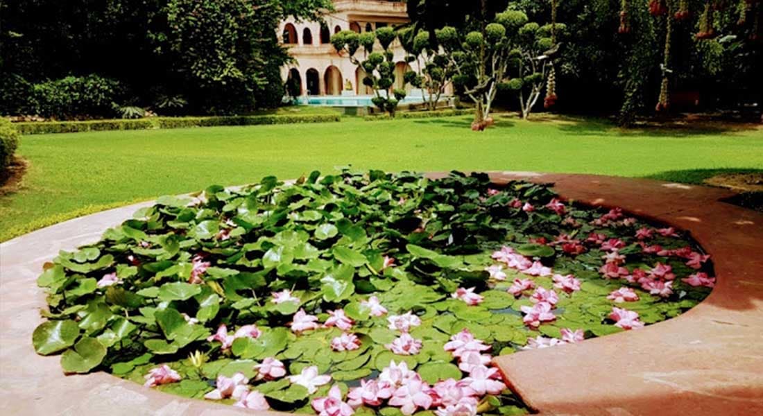 The Banyan Farm - Image 3