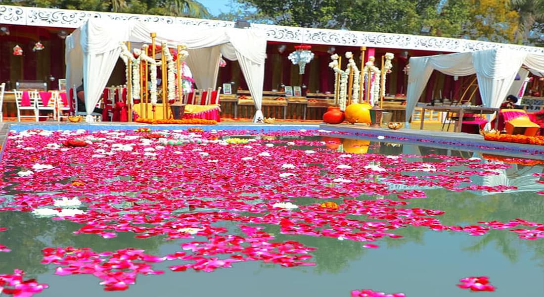 Shaurya Farms - Image 2