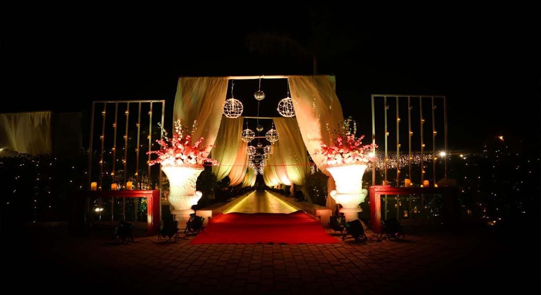 Royal Swan Banquet - Image 1