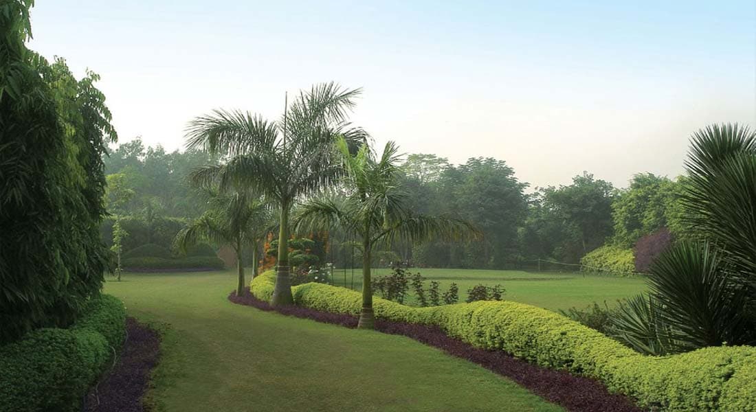 venue-img