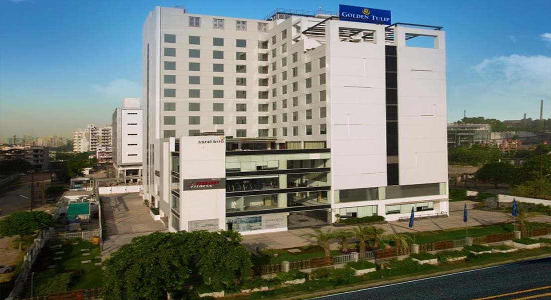 Golden Tulip - Image 1