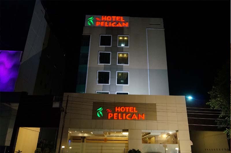 The Pelican - Image 1