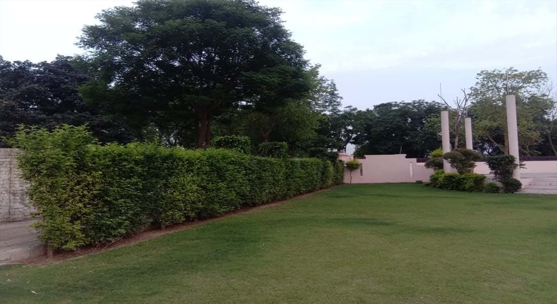 GJ Farms - Image 2