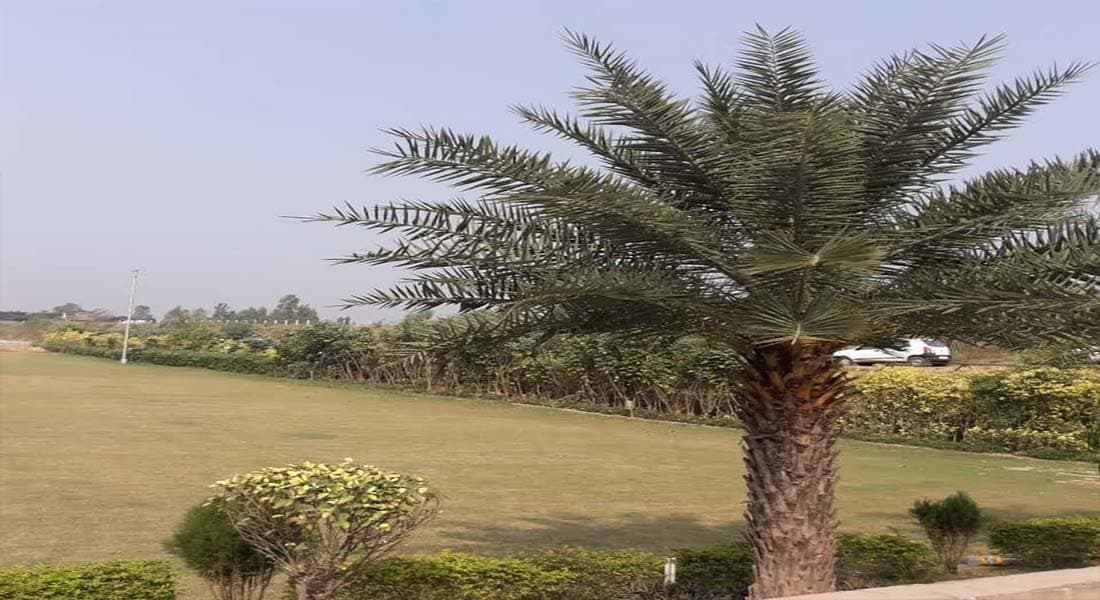 venue-img